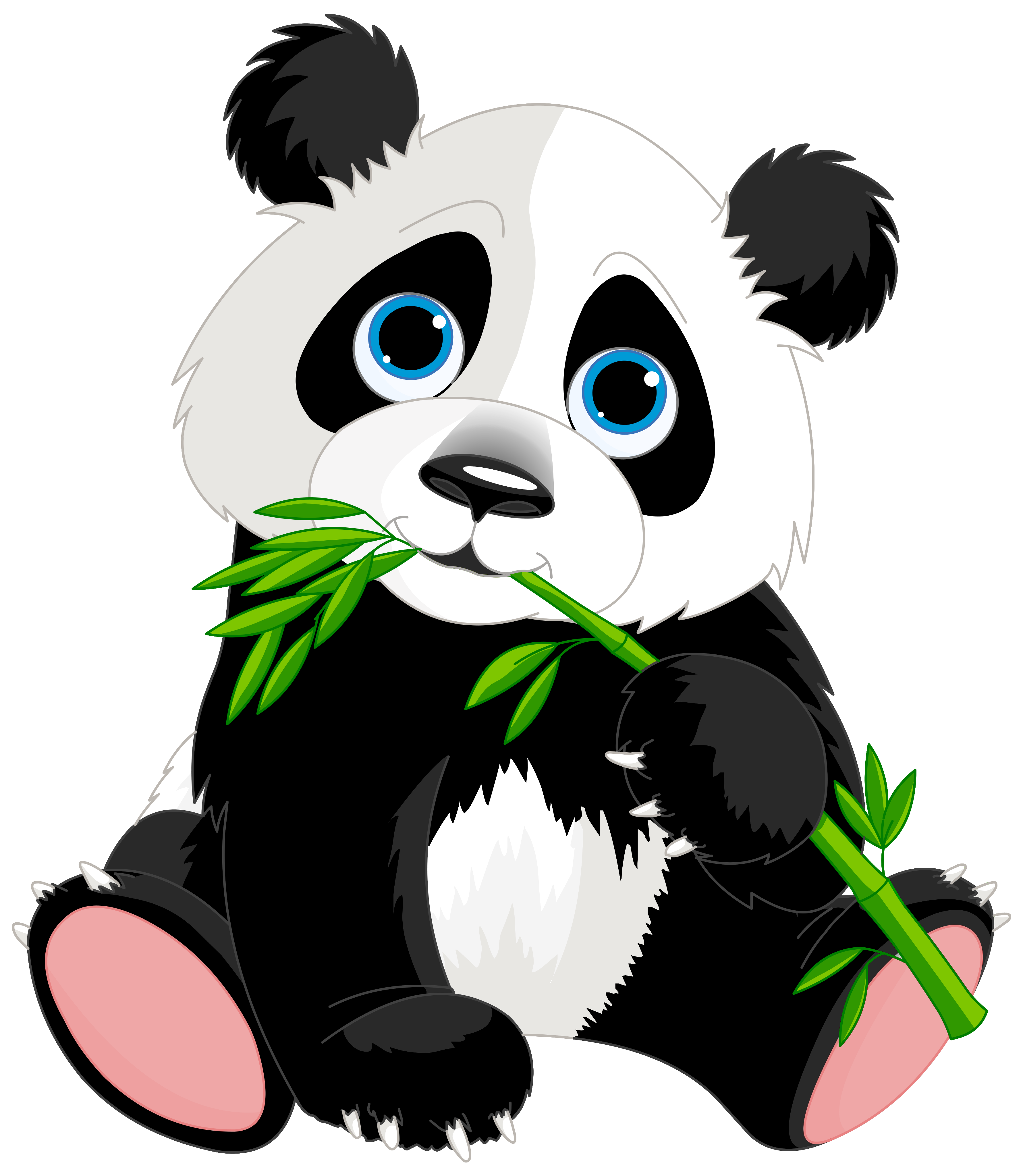 Panda Bear Photos, Download The BEST Free Panda Bear Stock Photos