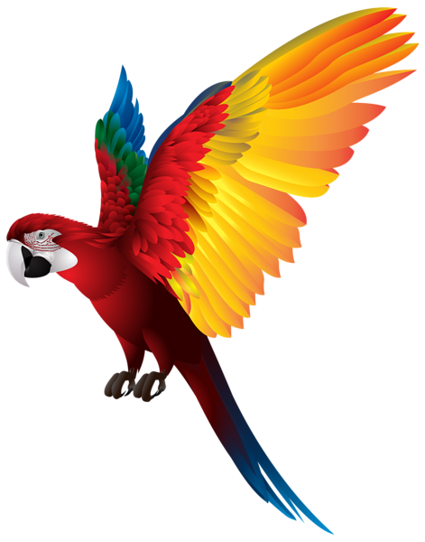Parrot Png Image Transparent Image Download Size 471x600px