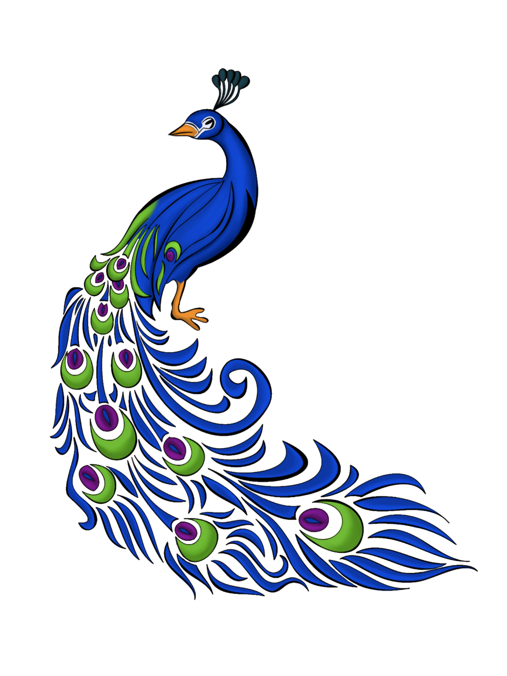 Peacock PNG transparent image download, size: 1024x1365px