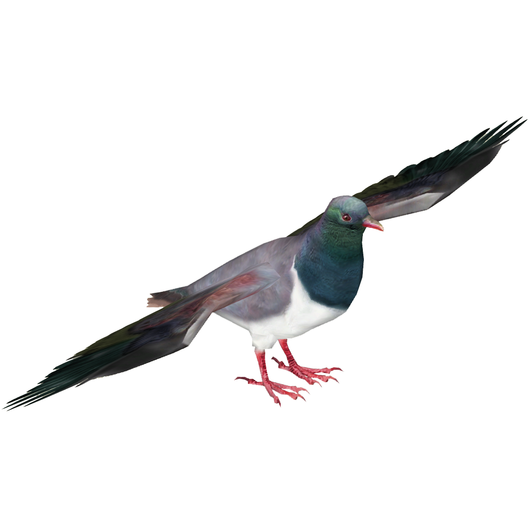 Pigeon PNG transparent image download, size: 1055x1055px