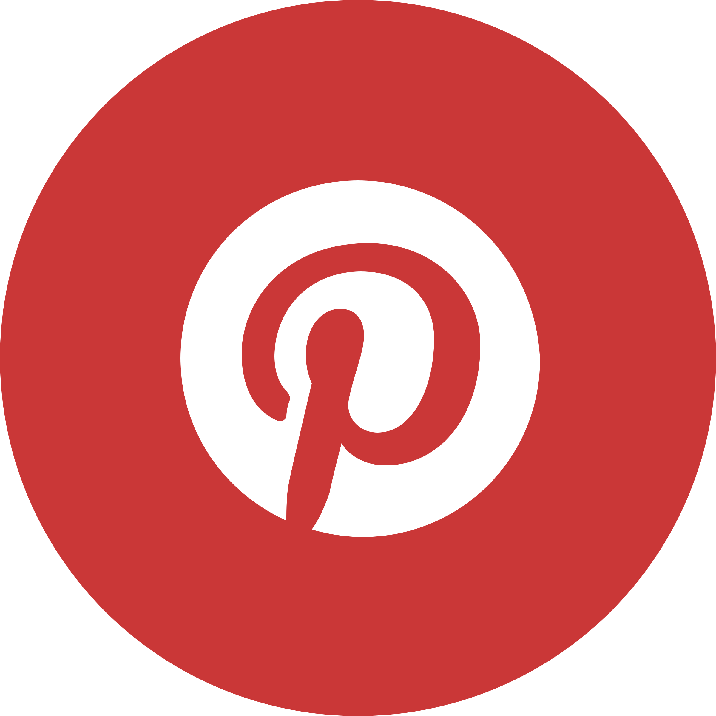 Pinterest Logo No Background