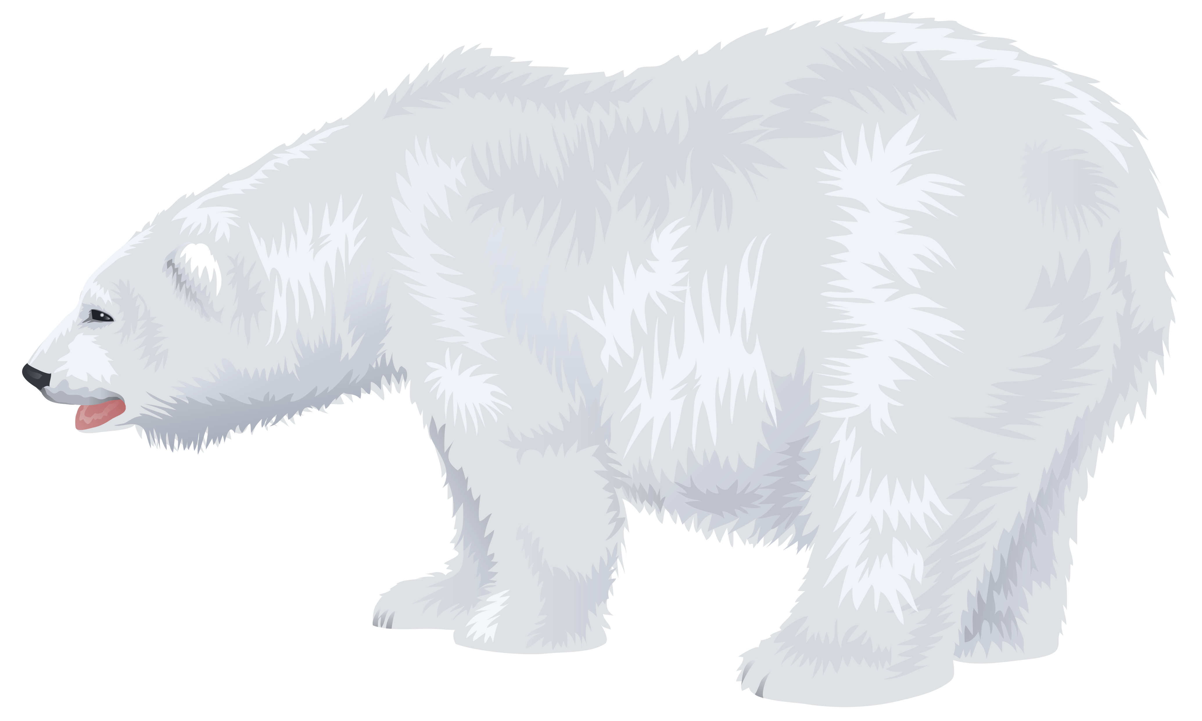 Standing Polar Bear Clipart