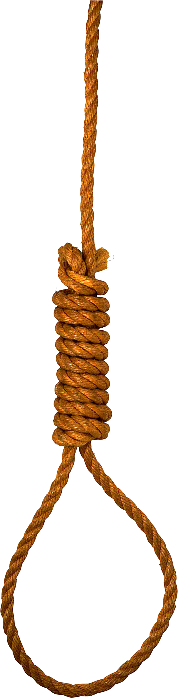 rope loop PNG transparent image download, size: 738x2890px
