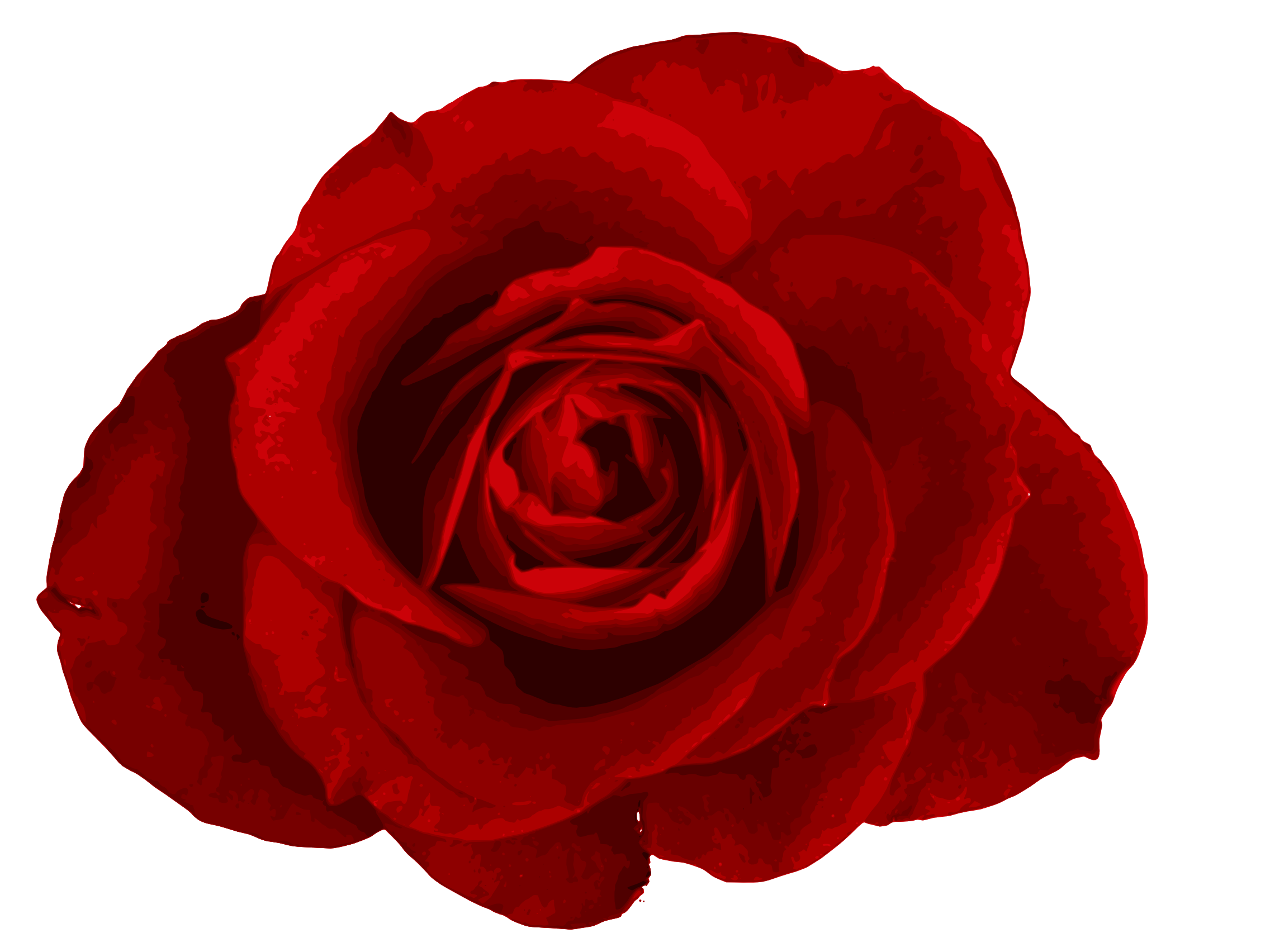 Hoa hồng đỏ PNG là một trong những loại hình ảnh đẹp nhất để trang trí cho các thiết kế của bạn. Với chất lượng cao và độ phân giải tuyệt vời, bạn có thể tận dụng hình ảnh này để làm nền cho thiệp, thiết kế in ấn, hay các sản phẩm khác. Hãy xem qua hình ảnh để cảm nhận vẻ đẹp tuyệt vời của hoa hồng đỏ PNG.