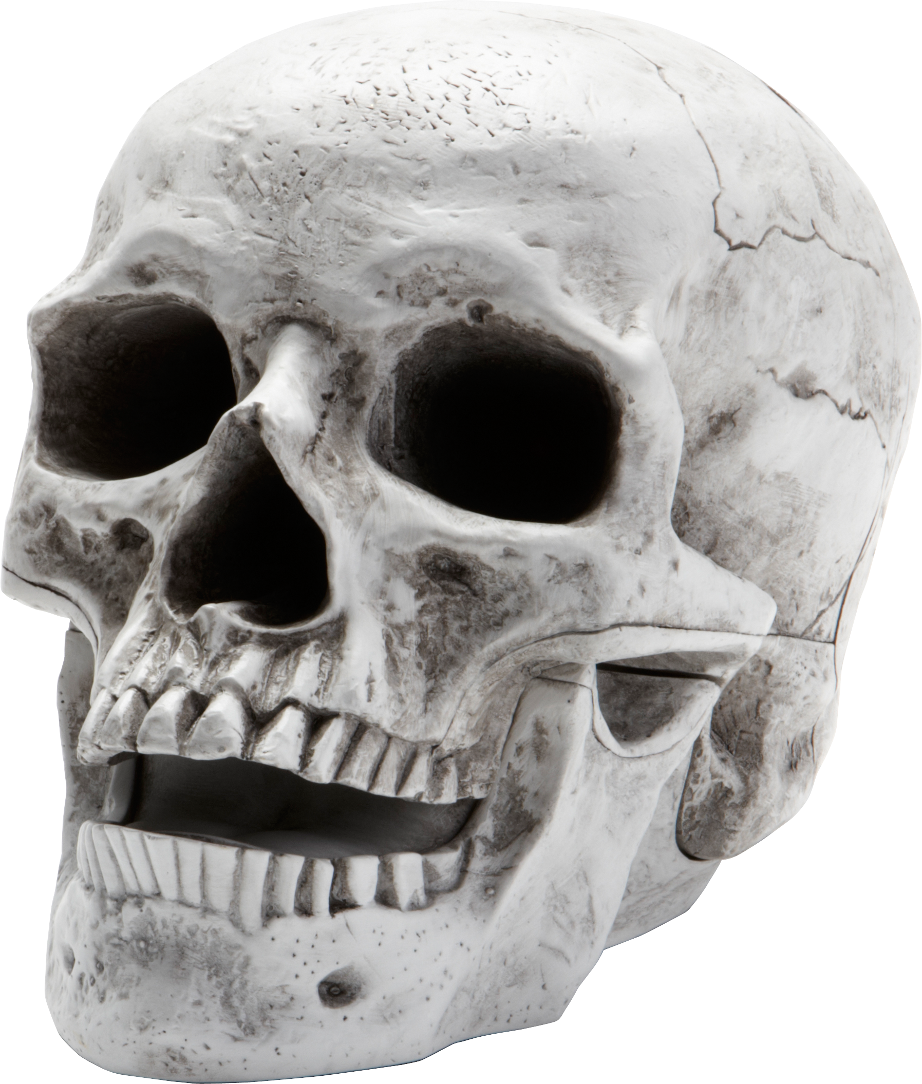 Skull PNG image transparent image download, size: 1795x2111px