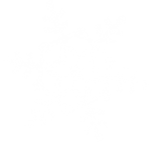 White snowflake PNG image transparent image download, size: 300x287px