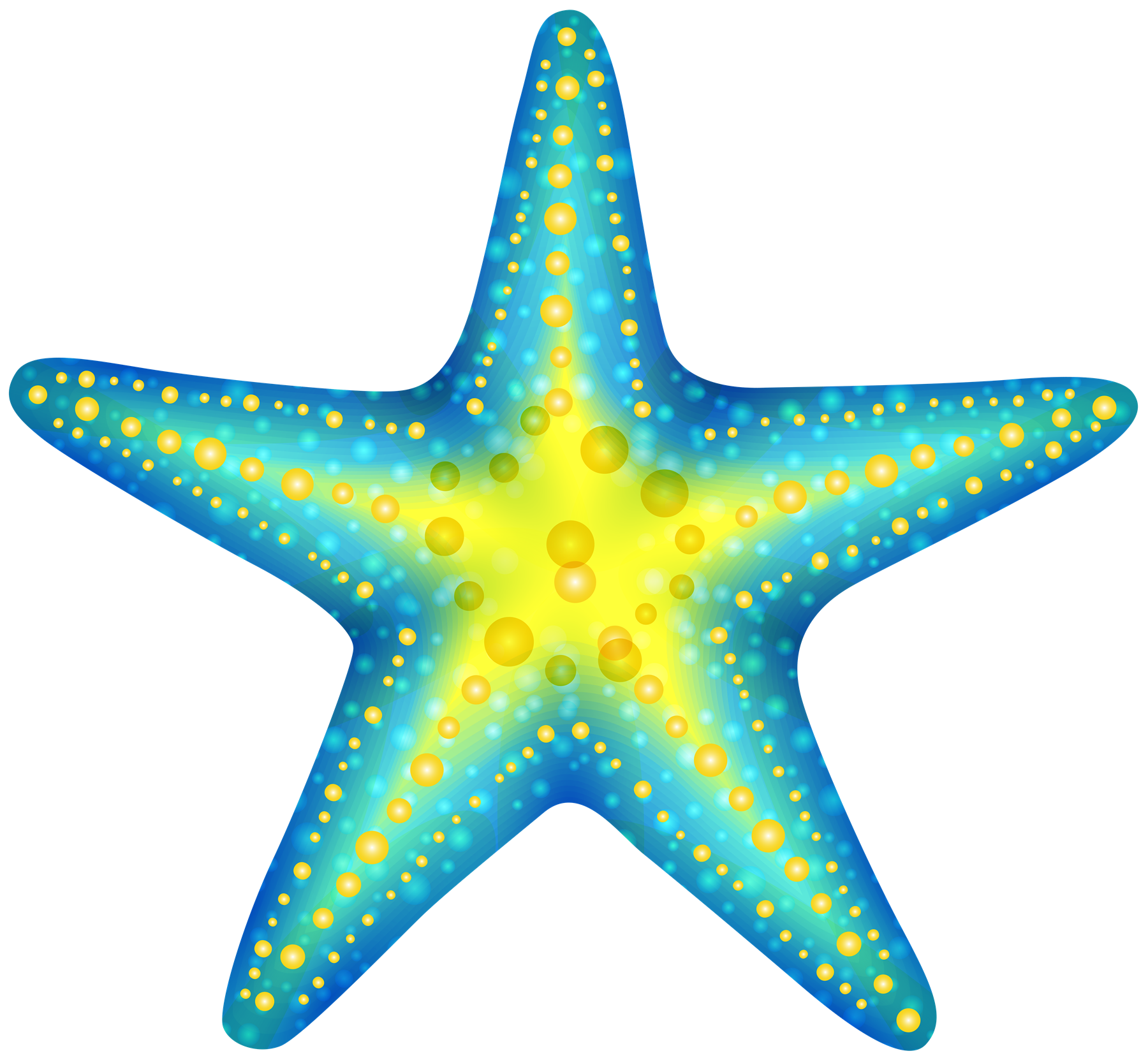 Estrella de mar png