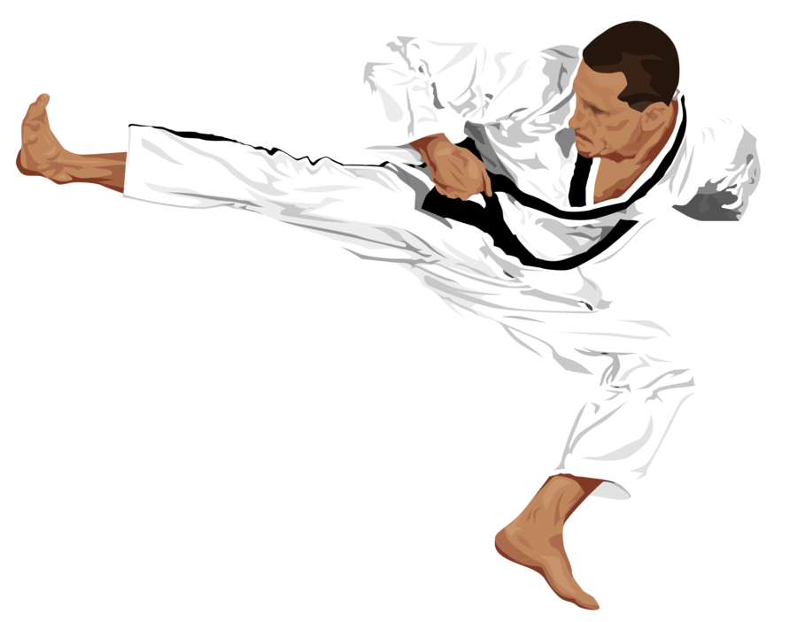 Taekwondo PNG transparent image download, size: 900x703px
