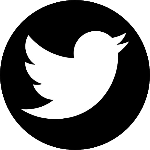 white twitter logo png