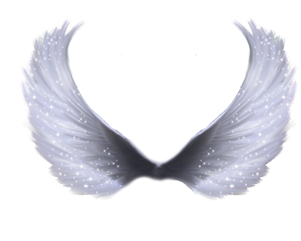 Wings PNG transparent image download, size: 1024x819px