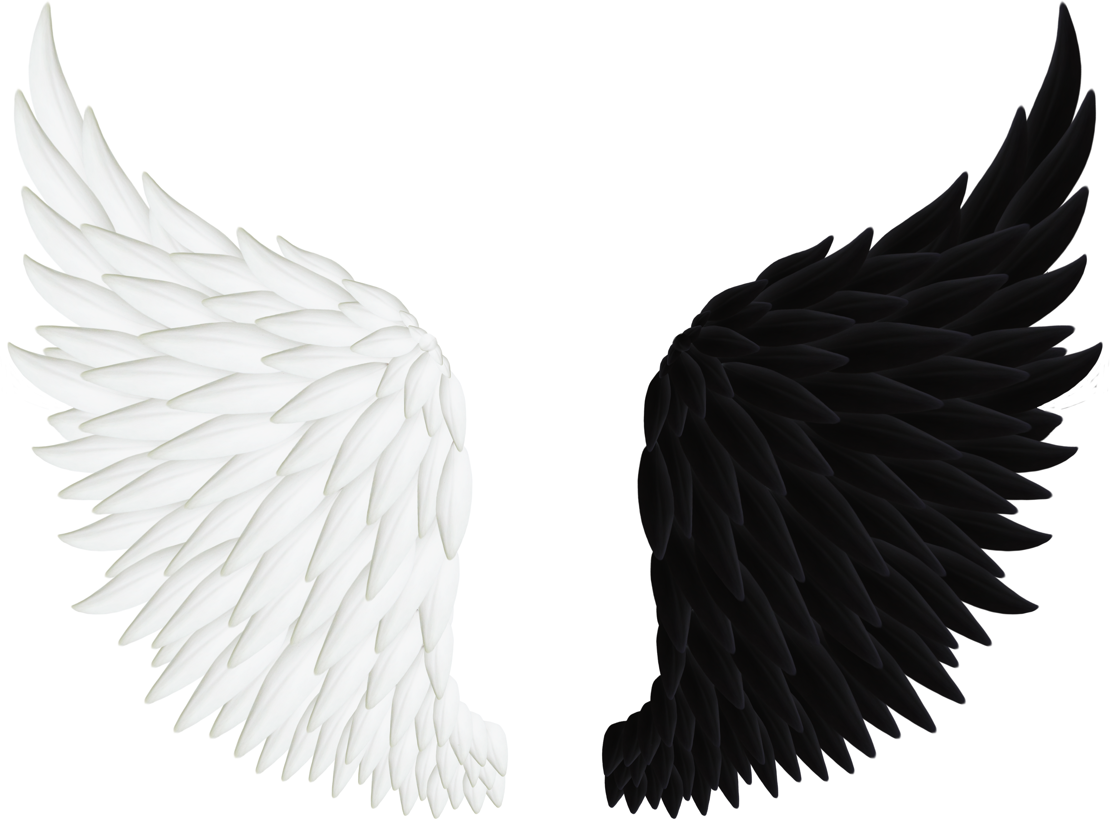 realistic wings png