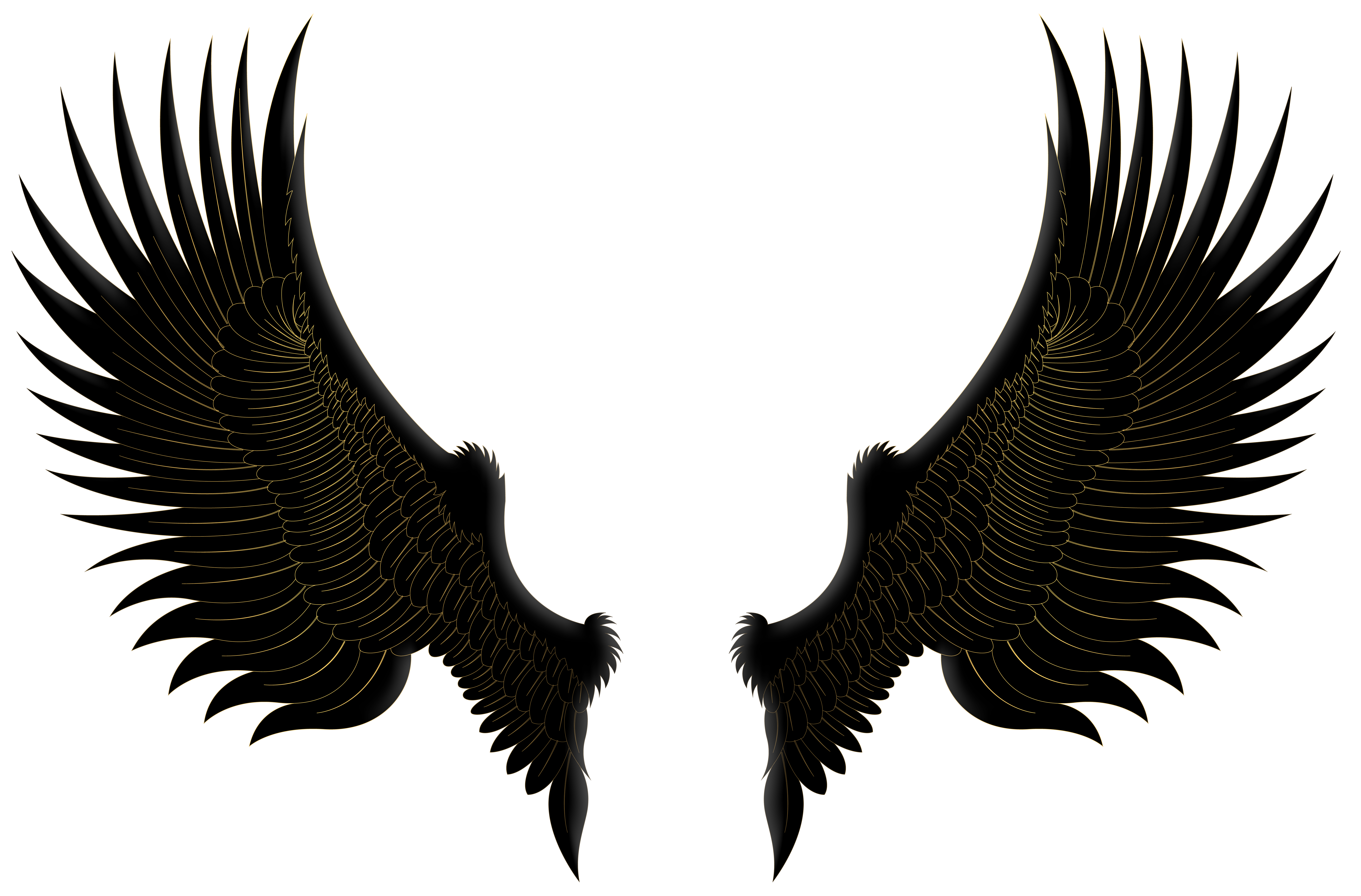 Transparent Demon Wings Png - Black Angel Wings Png, Png Download