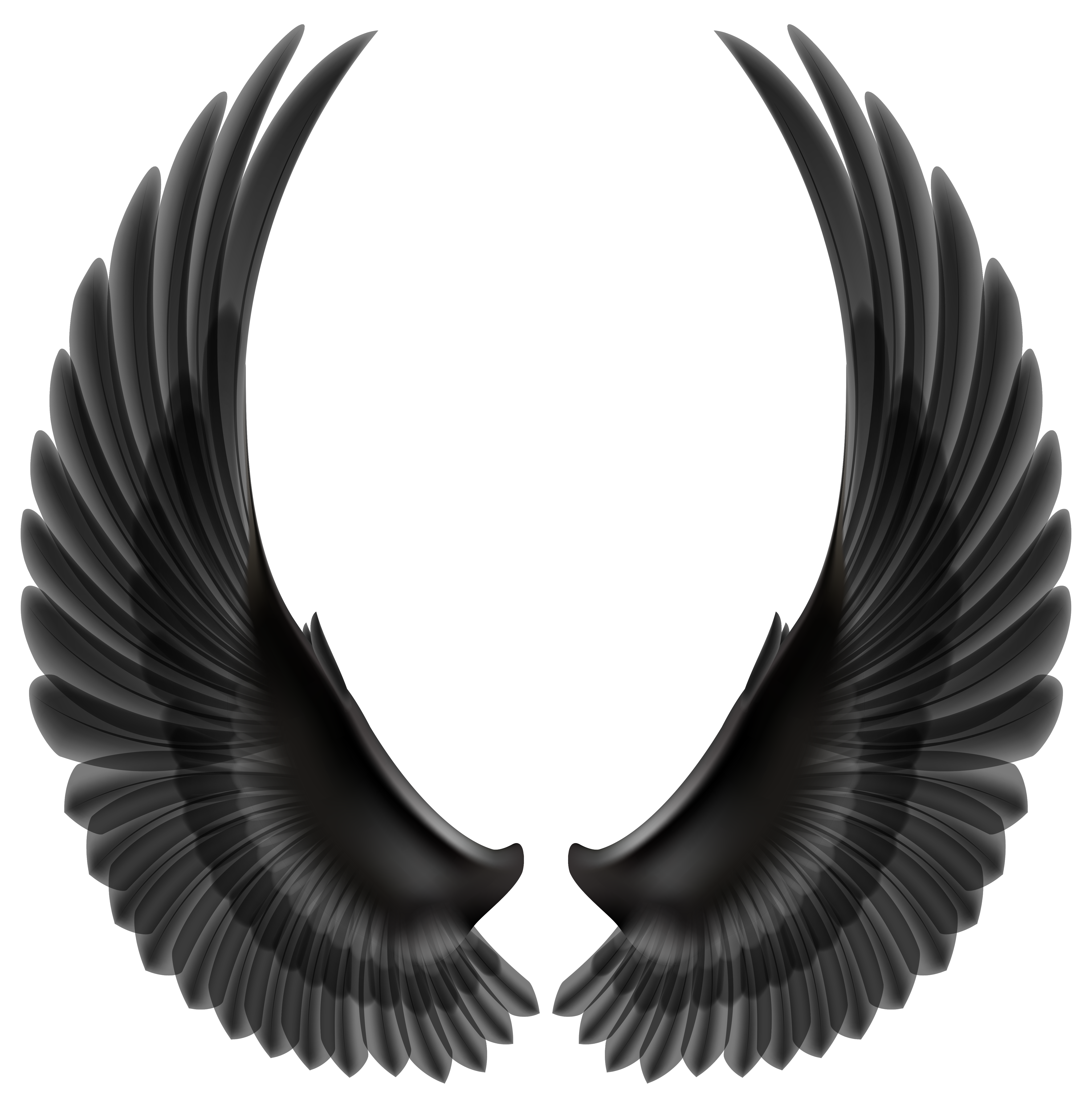 Black Wings Isolated On White Background Stock Photo - Download