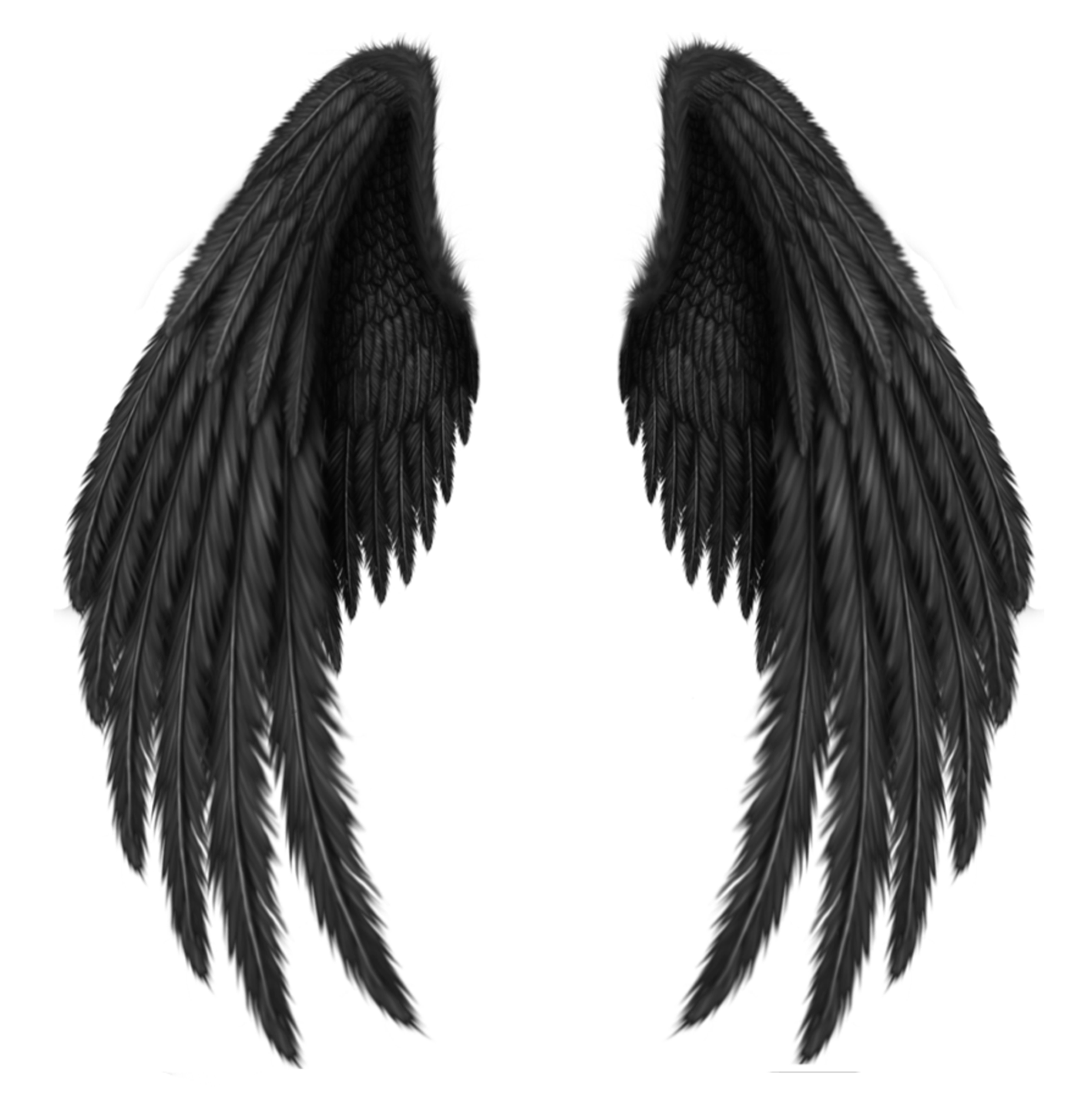 Black Wings Clipart for Free Download