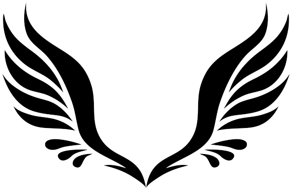 Wings PNG transparent image download, size: 5192x5247px
