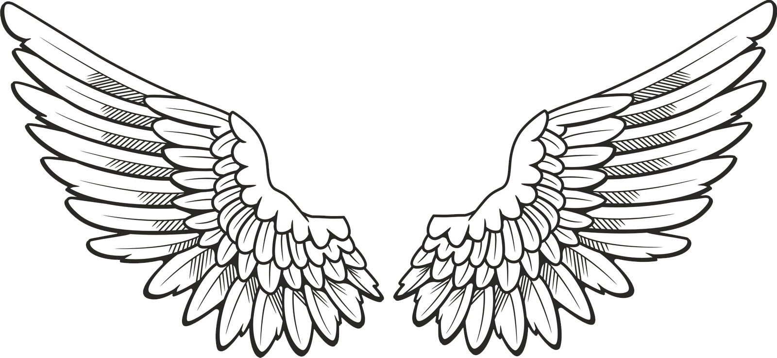 Black Wings PNG Image  Angel wings png, Wings drawing, Wings png