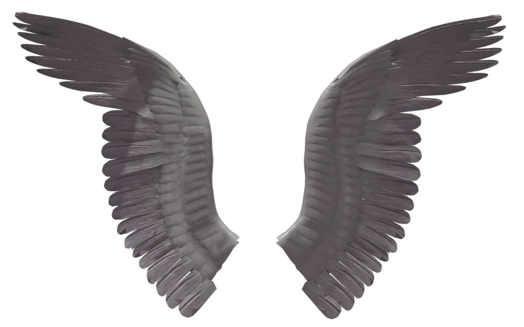 Transparent Demon Wings Png - Black Angel Wings Png, Png Download