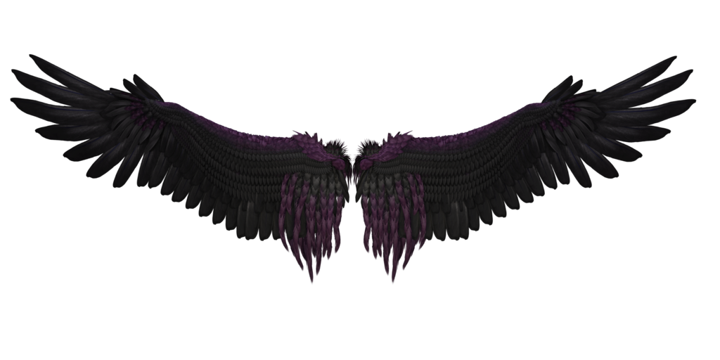 Black Wings Stock Photos, Images and Backgrounds for Free Download