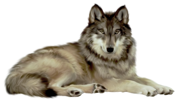 Wolf PNG Image - PurePNG  Free transparent CC0 PNG Image Library