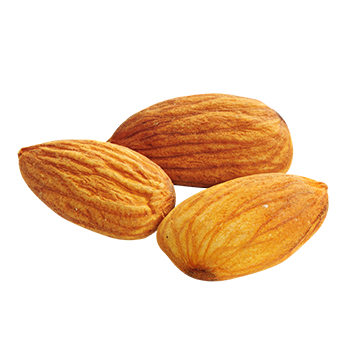 Almonds PNG image with transparent background