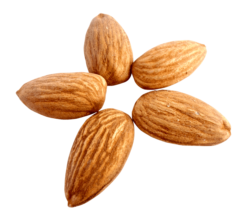 Almond PNG, Almonds PNG