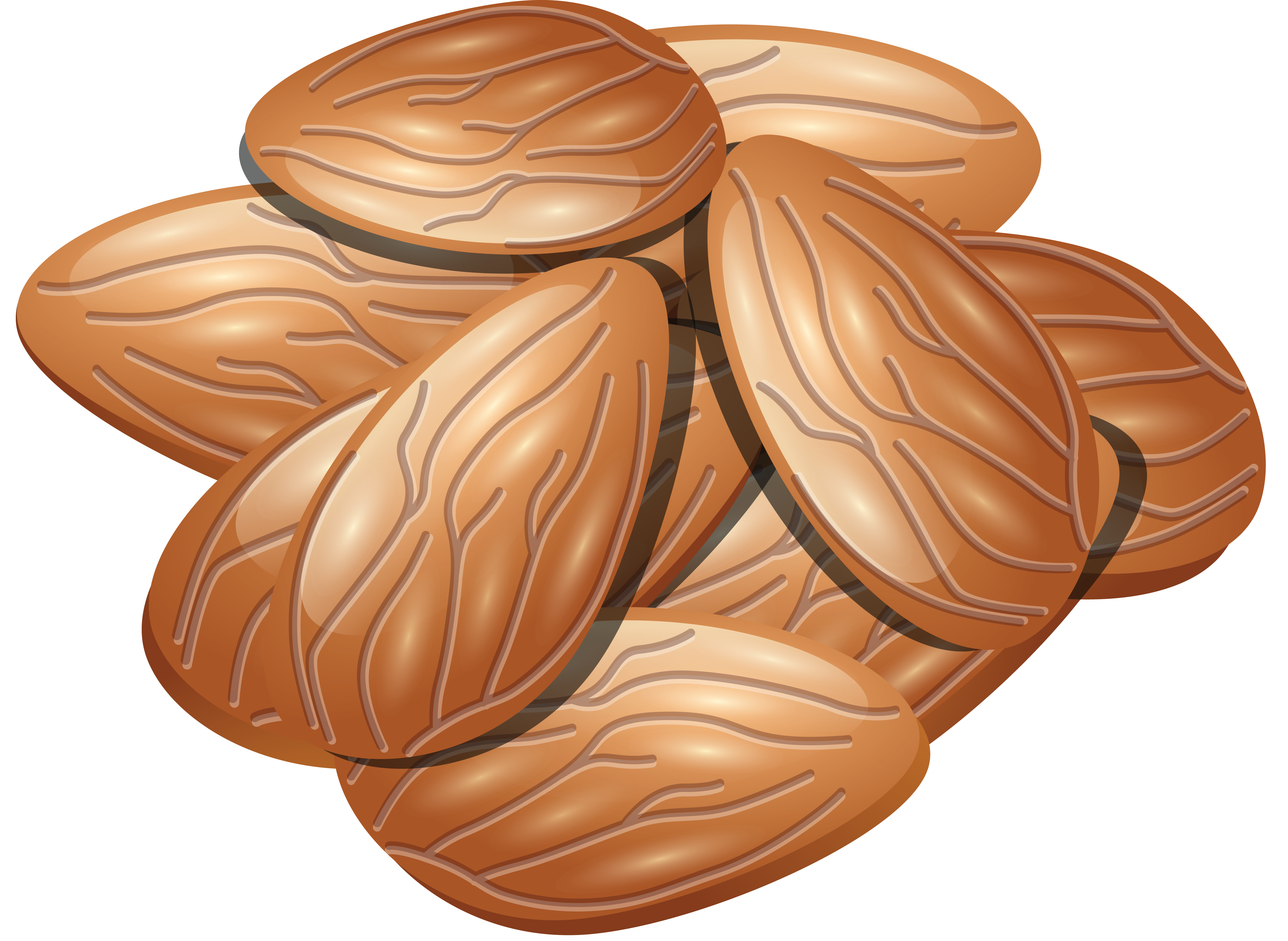 Almonds PNG image, almond PNG