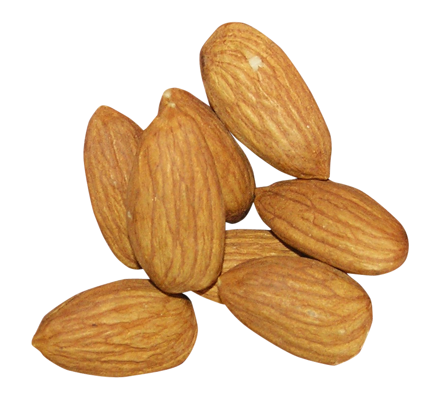 Big almonds PNG