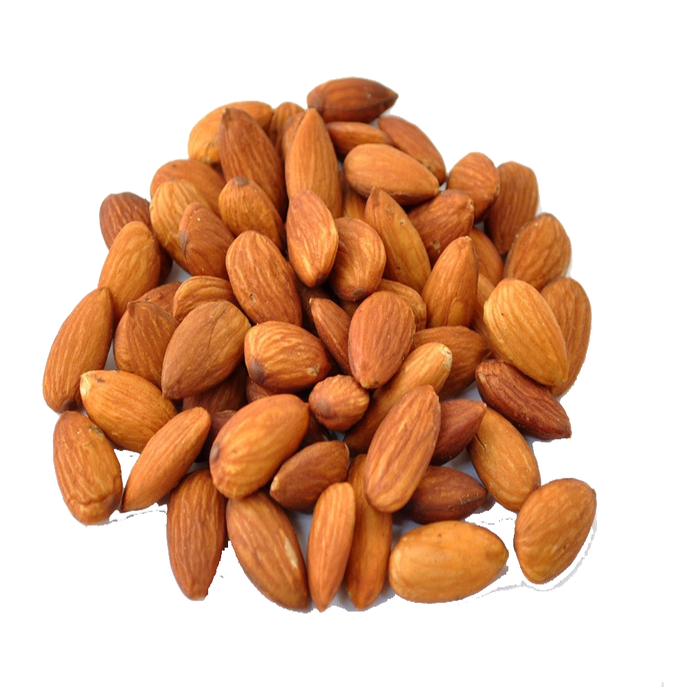 Almond PNG