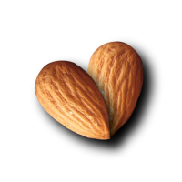 Almond heart PNG