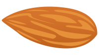 Almond seed PNG image