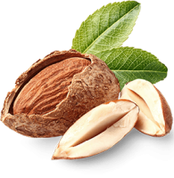 Almond with green  leaves PNG
