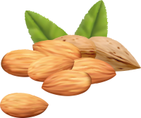 Almonds with leaves PNG