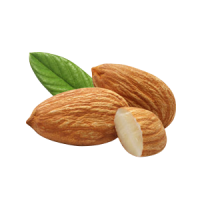 Almonds with leaf PNG