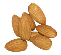 Big almonds PNG