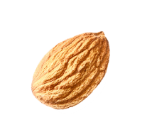 one almond PNG