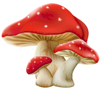 Amanita PNG
