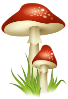 Amanita PNG