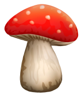 Amanita PNG