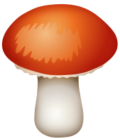 Amanita PNG