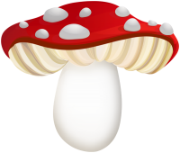 Amanita PNG