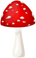 Amanita PNG
