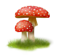 Amanita PNG