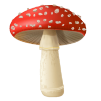 Amanita PNG
