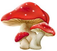 Amanitas PNG