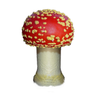 Amanita PNG small