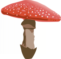 Amanita PNG image