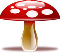 Amanita PNG