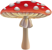 Amanita PNG