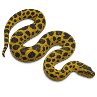 anaconda PNG yellow