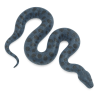 anaconda PNG blue